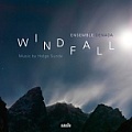 CD DENADA – WINDFALL
