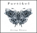 CD PARTIKEL – STRING THEORY