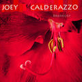 CD JOEY CALDERAZZO - AMANECER