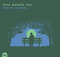 CD PÉTER ROZSNYÓI TRIO – PAIN OF AN ANGEL