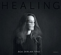CD AGA DERLAK TRIO – HEALING
