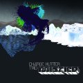 CD CHARLIE HUNTER TRIO – MISTICO