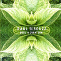 CD RAUL de SOUZA – SOUL & CREATION