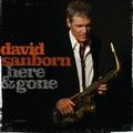CD DAVID SANBORN – HERE & GONE