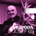 CD JAZZ NA HRADE – VEJVODA JOSEF 65