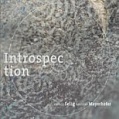 CD SELIG & MAYERHOFER - INTROSPECTION
