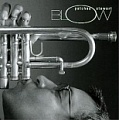 CD PATCHES STEWART - BLOW