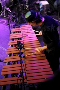  MIKE