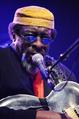 JAMES BLOOD ULMER
