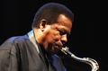  WAYNE SHORTER