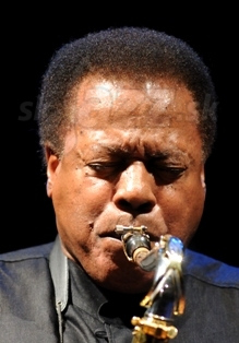 WAYNE SHORTER