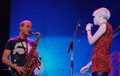 ADAM + DALMA