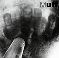 CD MUFF