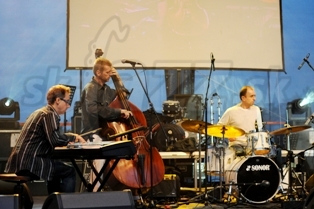 AMC TRIO