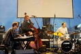 AMC TRIO