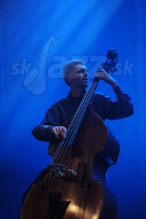  MARTIN  