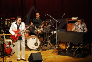  RAPHAEL WRESSNIG´S ORGANIC TRIO  