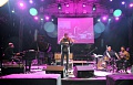  DAVID HELBOCK QUARTET  