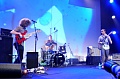 LES RHINOCÉROS