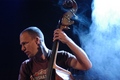 AVISHAI COHEN