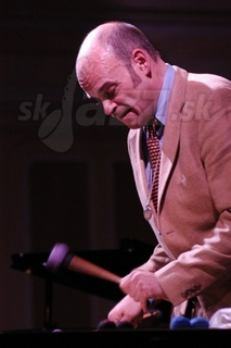 MARTIN BREINSCHMID