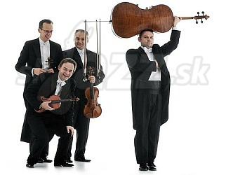  mozart-group 