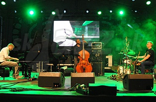  TINGVALL TRIO  
