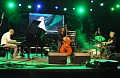  TINGVALL TRIO  