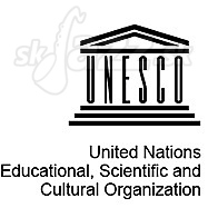  LOGO UN 