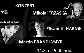  TRIO – TRZASKA HARNIK BRANDLMAYR  