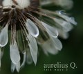 AURELIUS Q - CD FOLK WAYS 2
