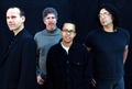 YELLOWJACKETS