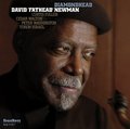CD DAVID "FATHEAD" NEWMAN - DIAMONDHEAD
