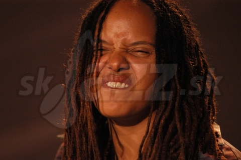 TERRI LYNE CARRINGTON