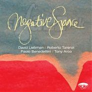 CD DAVE LIEBMAN - NEGATIVE SPACE 